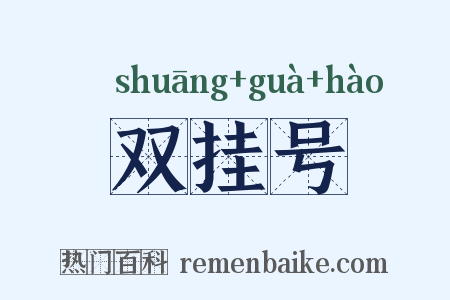 双挂号是什么意思的图片